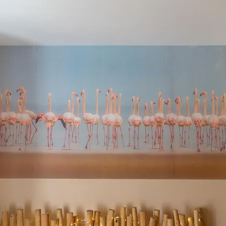 Lägenhet La Camarguaise En Centre - Nuit A Nîmes