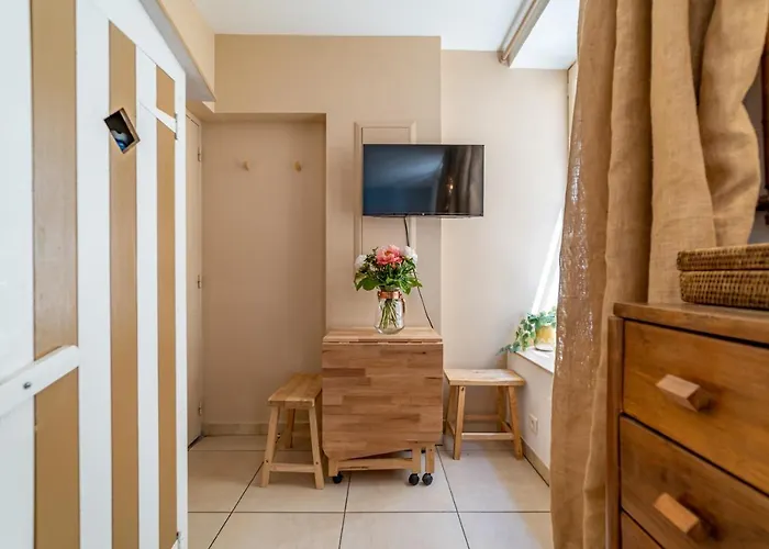 Apartment La Camarguaise En Centre - Nuit A