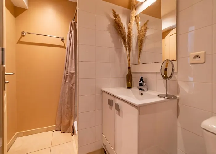 La Camarguaise En Centre - Nuit A Apartment