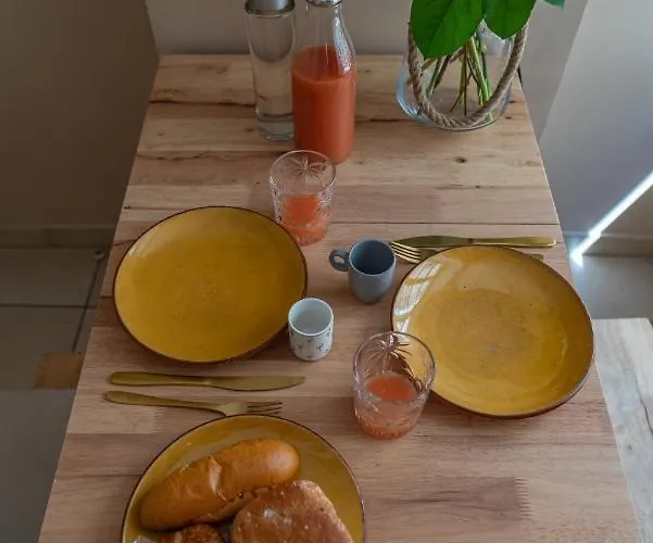 La Camarguaise En Centre - Nuit A Apartment Nimes