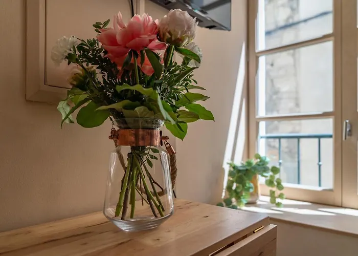 Apartment La Camarguaise En Centre - Nuit A *