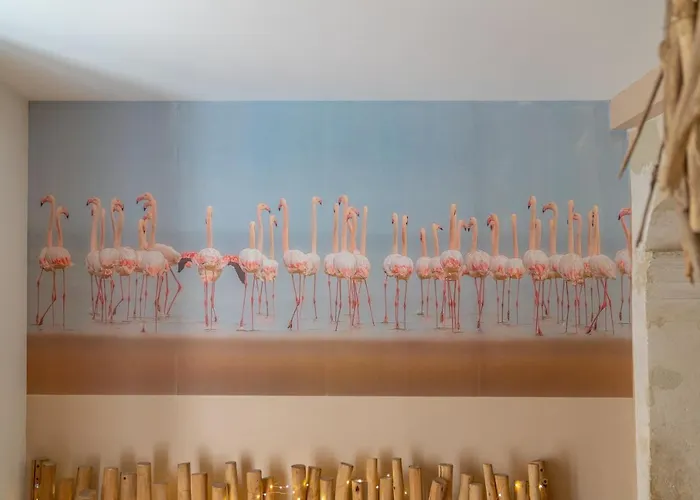 Apartment La Camarguaise En Centre - Nuit A Nimes